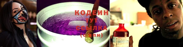 индика Горно-Алтайск