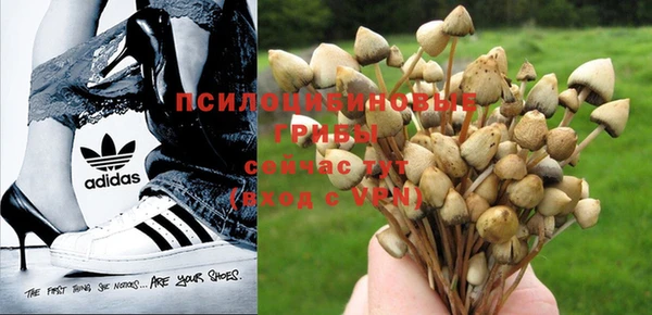 марихуана Горнозаводск